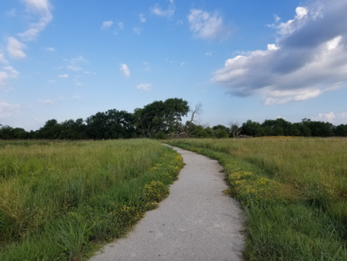 A winding path through a grassy field under a blue sky with scattered clouds and trees in the background.