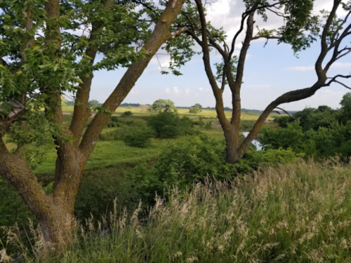 Lush green landscape with trees, a river, and open fields under a clear blue sky.