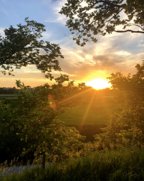 A vibrant sunset peeks through trees, casting warm light over a green landscape.