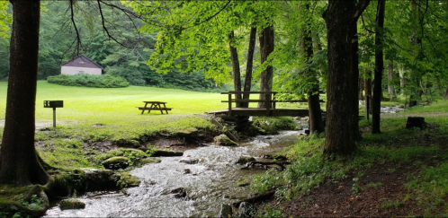 A serene park scene featuring a wooden bridge over a stream, surrounded by lush greenery and a picnic area.