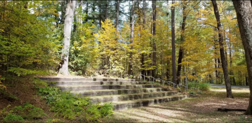 A set of stone steps surrounded by vibrant autumn foliage in a wooded area.