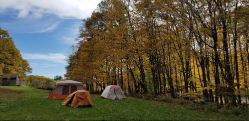 Tents set up in a forest with vibrant autumn foliage and a clear blue sky in the background.