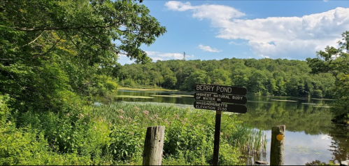 A serene view of Berry Pond surrounded by lush greenery and a sign indicating its elevation and location in Massachusetts.