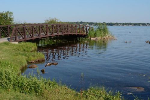 A wooden bridge over calm water, surrounded by grass and reeds, with ducks swimming nearby on a clear day.