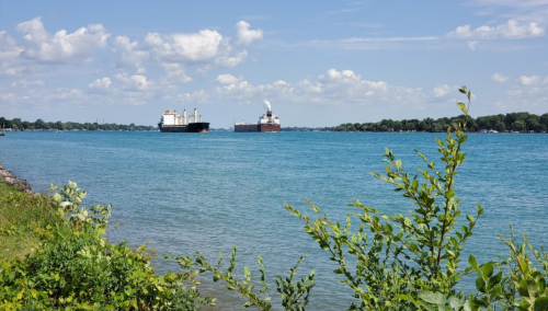 Two large ships on a blue river, surrounded by green foliage and a clear sky with fluffy clouds.