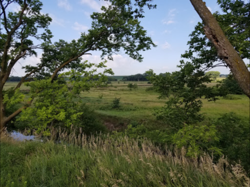 Lush green landscape with trees framing a grassy field under a blue sky with scattered clouds.