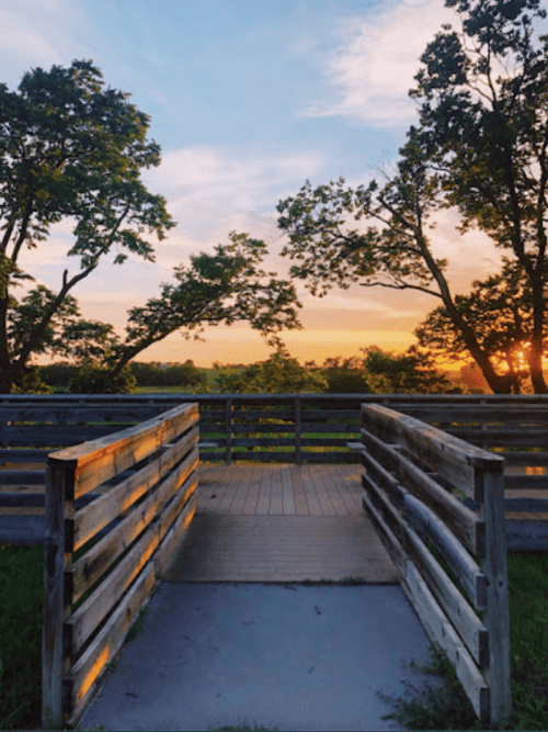 A wooden walkway leads to a sunset view, framed by trees and a peaceful landscape.
