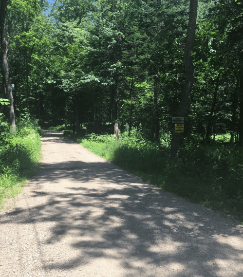 A gravel road winding through a lush green forest, with trees lining both sides and a sign visible on the right.