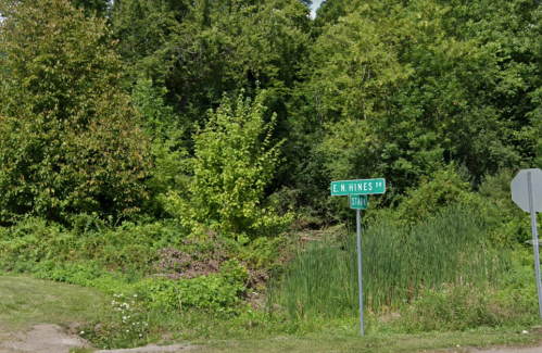 A green street sign for E. K. Hines Blvd near a dense area of trees and shrubs.