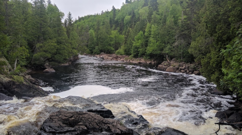 A serene river flows through a lush green forest, with rocky banks and gentle rapids under a cloudy sky.