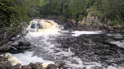 A serene waterfall cascades over rocks into a dark river, surrounded by lush green trees and foam on the water's surface.