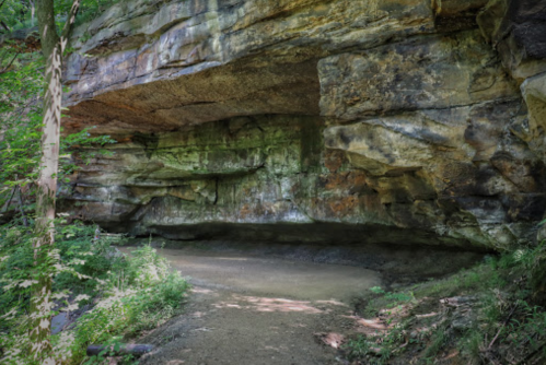 A rocky overhang in a lush green forest, with a small, sandy area beneath it.