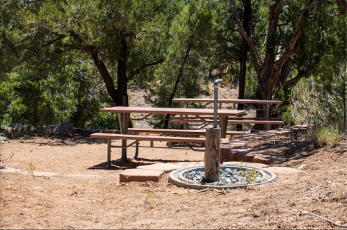 A picnic area with wooden tables and a fire pit, surrounded by trees and a dry landscape.