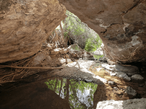 A rocky arch frames a serene creek surrounded by lush greenery and reflections on the water's surface.