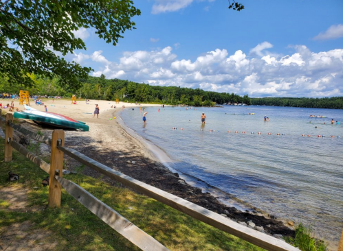 A sunny beach scene with people swimming and relaxing by the water, surrounded by trees and a clear blue sky.
