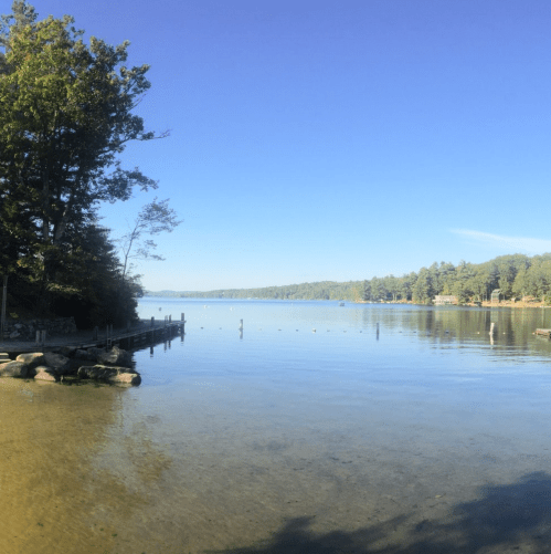 A serene lake view with clear water, trees lining the shore, and a blue sky reflecting on the surface.