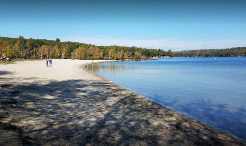 A serene beach scene with a sandy shore, calm water, and trees in the background under a clear blue sky.