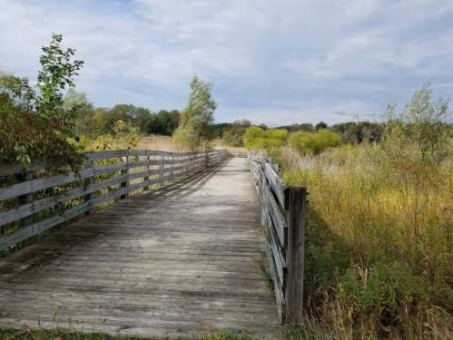 A wooden walkway leads through a grassy area with trees under a cloudy sky.