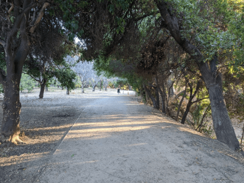A dirt path lined with trees in a park, with a few people walking in the distance.