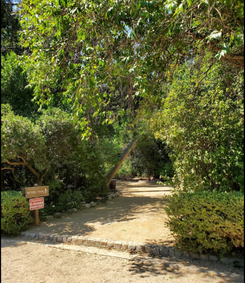 A sunlit path through lush greenery, with a rainbow visible in the distance and a sign indicating a nature trail.