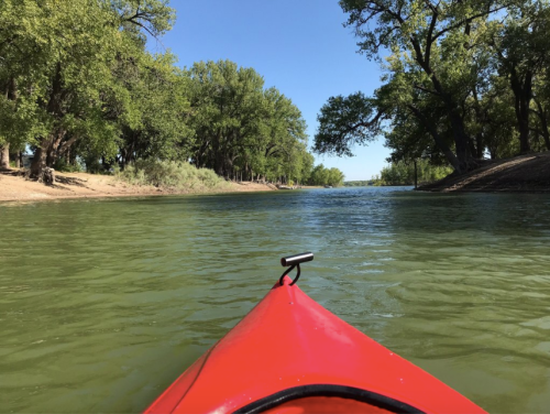 A red kayak glides through calm green waters, surrounded by lush trees under a clear blue sky.
