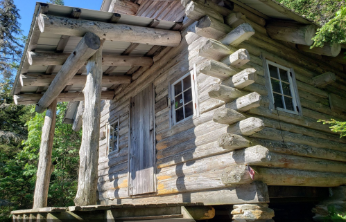 A rustic log cabin with a wooden porch, surrounded by greenery and trees. Sunlight highlights its weathered texture.