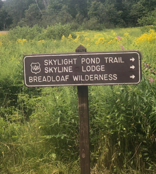 A wooden signpost indicating directions to Skylight Pond Trail, Skyline Lodge, and Breadloaf Wilderness.