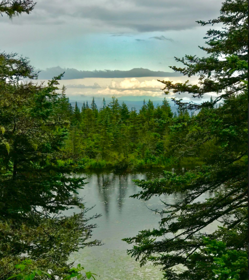 A serene landscape featuring a calm lake surrounded by lush green trees and distant mountains under a cloudy sky.