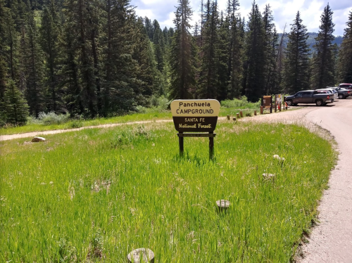 Sign for Panchuela Campground in Santa Fe National Forest, surrounded by green grass and tall trees. Cars parked nearby.