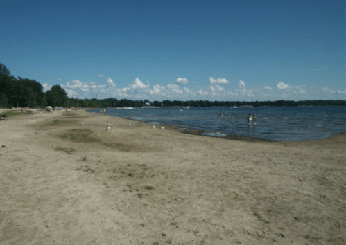 A sandy beach by a calm lake, with people enjoying the water and a clear blue sky dotted with clouds.