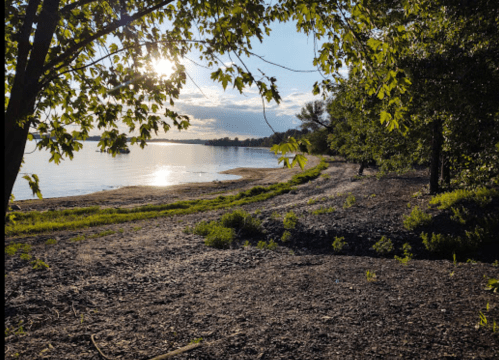 A serene lakeside view with sunlight reflecting on the water, surrounded by trees and a pebbly shore.