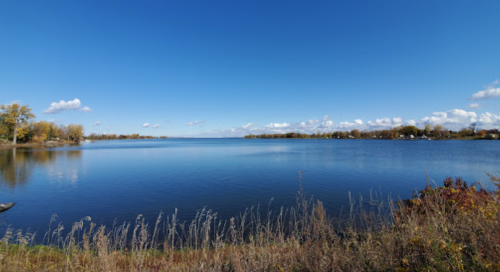 A serene lake under a clear blue sky, surrounded by trees and distant shoreline, with gentle ripples on the water.