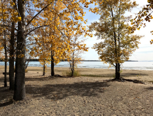 A serene beach scene framed by trees with golden autumn leaves, overlooking a calm lake under a clear sky.