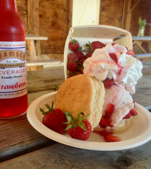A plate with a biscuit sandwich filled with ice cream, strawberries, and whipped cream, alongside fresh strawberries and a soda.