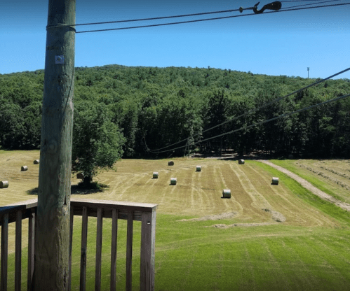 A scenic view of a green field with hay bales, surrounded by trees and hills under a clear blue sky.