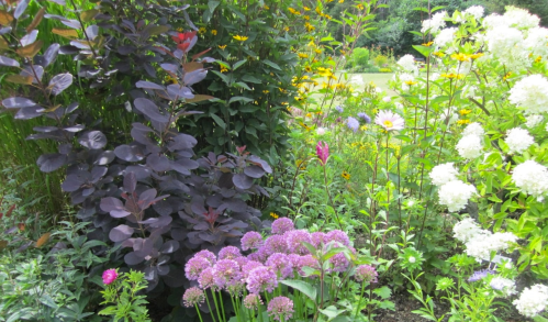 A vibrant garden filled with colorful flowers, lush greenery, and various plants in full bloom.