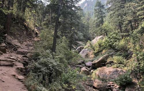 A rocky trail winds through a lush forest with tall trees and boulders, leading to a serene natural landscape.