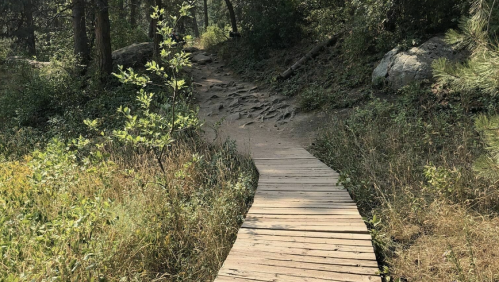 A wooden pathway winds through a forested area, surrounded by greenery and rocky terrain.