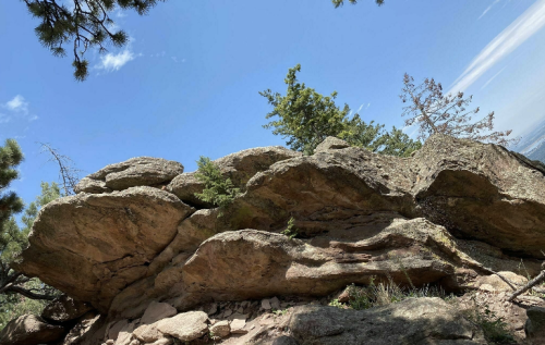 Rocky outcrop with scattered trees under a clear blue sky, showcasing natural textures and formations.