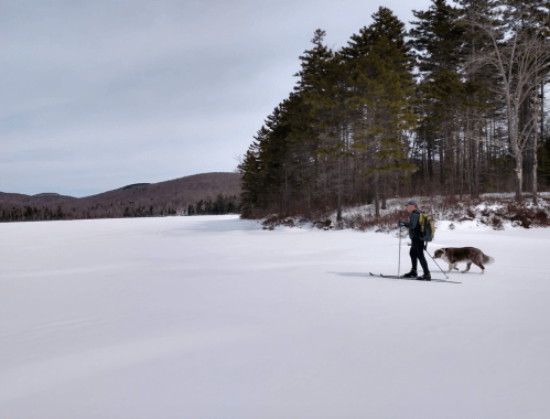 A person cross-country skiing on a snowy landscape with a dog walking beside them, surrounded by trees and mountains.