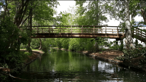 A wooden bridge spans a serene, tree-lined canal with calm water reflecting the greenery.