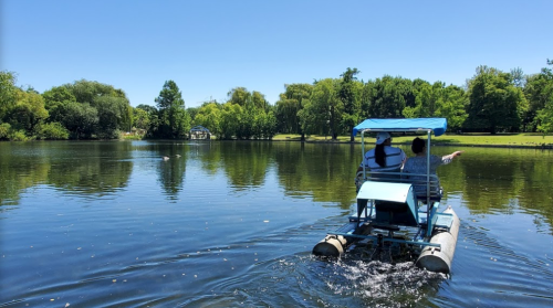 A pedal boat glides across a calm lake surrounded by lush greenery on a sunny day.
