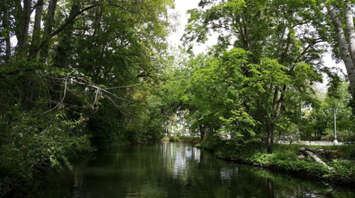 A serene, tree-lined canal reflecting greenery under a cloudy sky.