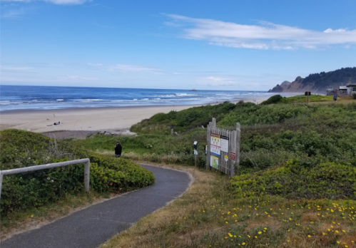 A scenic beach view with a path leading to the shore, surrounded by greenery and gentle waves under a blue sky.