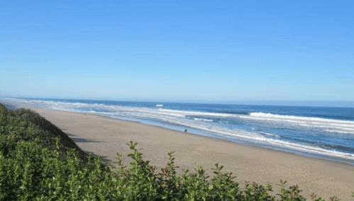 A serene beach scene with gentle waves, clear blue sky, and green foliage in the foreground.