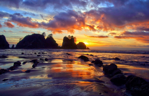 Sunset over a rocky beach, with vibrant clouds reflecting in the water and silhouettes of trees on the rocks.