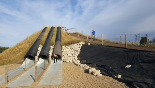 Two slides on a hill with a person climbing up and a dog sliding down, surrounded by rocks and grass.