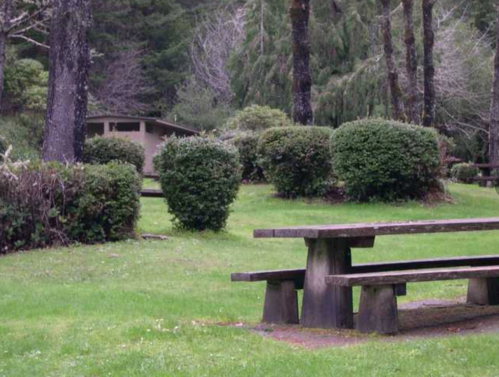 A serene park scene featuring picnic tables surrounded by neatly trimmed bushes and lush green grass.