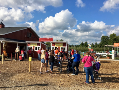 A busy outdoor market with people lining up at stalls, surrounded by trees and a blue sky with fluffy clouds.