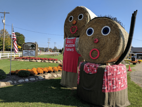 Two large hay bales dressed as cartoon characters stand outside Gull Meadow Farms, with a sign and flowers nearby.